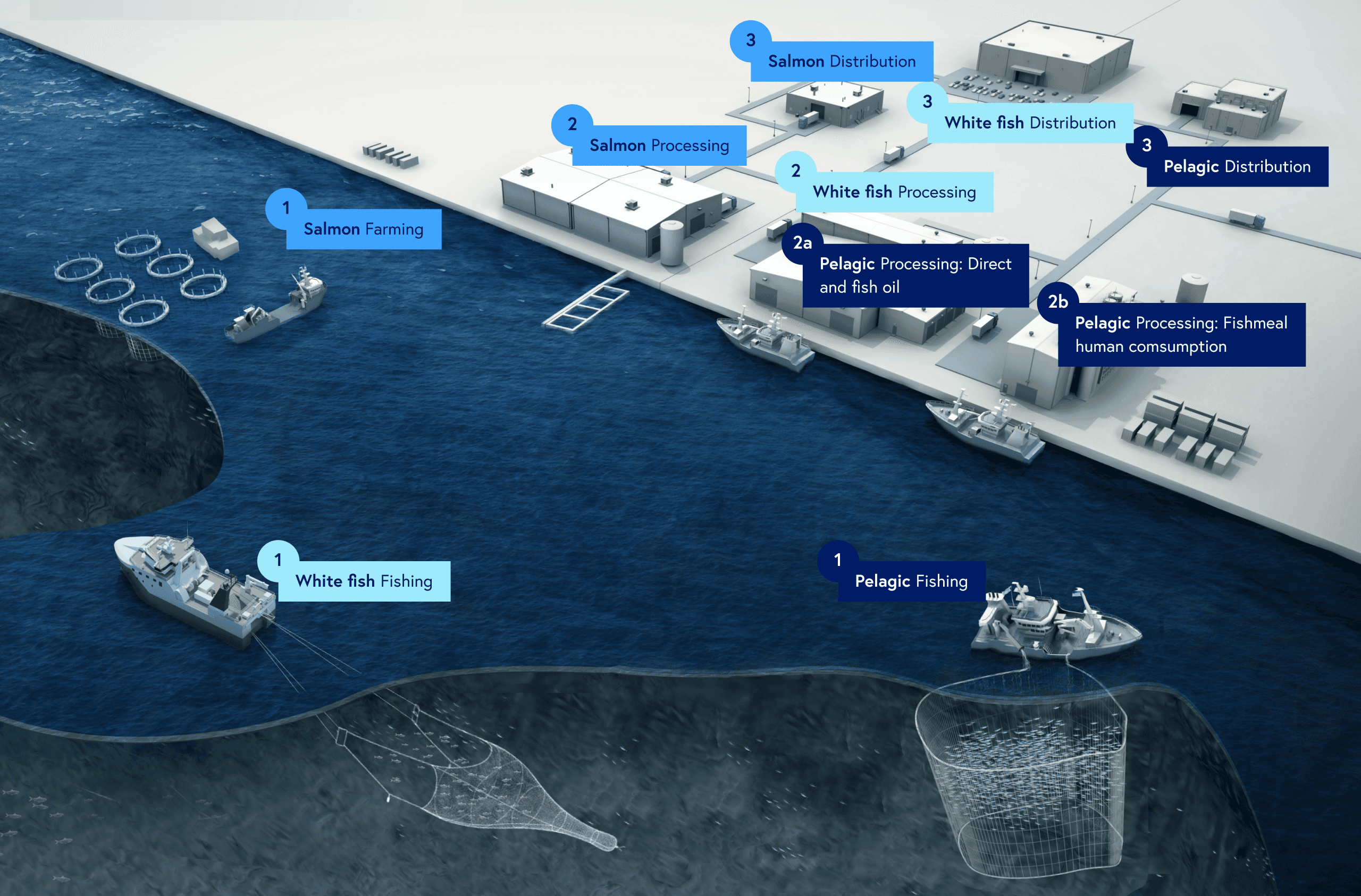 Value chain overview